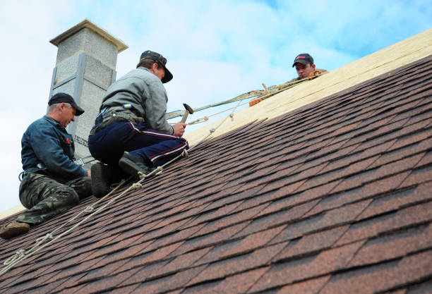 Best Metal Roofing Contractor  in Rockdale, IL