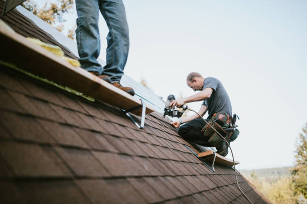 Best Roof Leak Repair  in Rockdale, IL